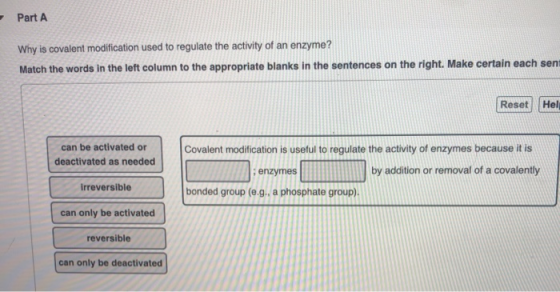 - Part A Why is covalent modification used to regulate the activity of an enzyme? Match the words in the left column to the a