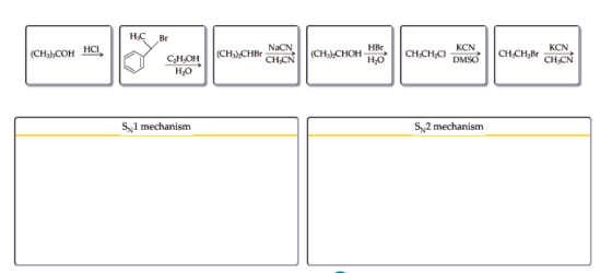 Sy i mechanism Sx2 mechanism