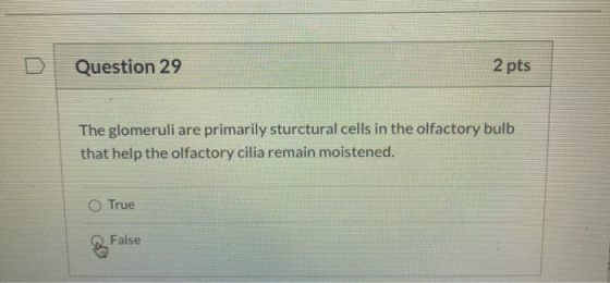 Question 29 2 pts The glomeruli are primarily sturctural cells in the olfactory bulb that help the olfactory cilia remain moi