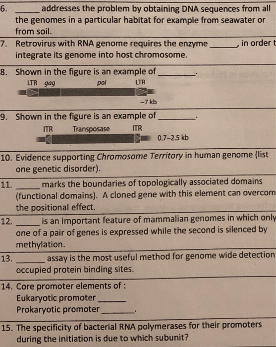 6. addresses the problem by obtaining DNA sequences from all the genomes in a particular habitat for example from seawater or from soil 7. Retrovirus with RNA genome requires the enzyme in order t integrate its genome into host chromosome Shown in the figure is an example of 8. LTR gag pol LTR 7 kb 9. Shown in the figure is an example of ITR Transposase ITR 0.7-25 kb 10. Evidence supporting Chromosome Territory in human genome (list one genetic disorder). marks the boundaries of topologically associated domains (functional domains). A cloned gene with this element can overcorm the positional effect. 12. is an important feature of mammalian genomes in which only one of a pair of genes is expressed while the second is silenced by methylation. occupied protein binding sites. Eukaryotic promoter 13. assay is the most useful method for genome wide detection 14. Core promoter elements of: Prokaryotic promoter 15. The specificity of bacterial RNA polymerases for their promoters during the initiation is due to which subunit?