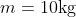 m = 10 \textup{kg}