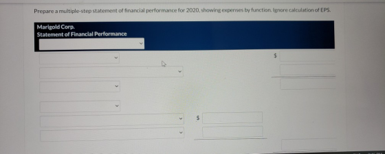 Prepare a multiple-step statement of financial performance for 2020, showing expenses by function. Ignore calculation of EPS.