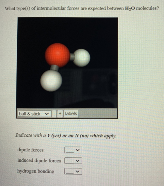 What type(s) of intermolecular forces are expected between H20 molecules? ball & stick v + labels Indicate with a Y (yes) or