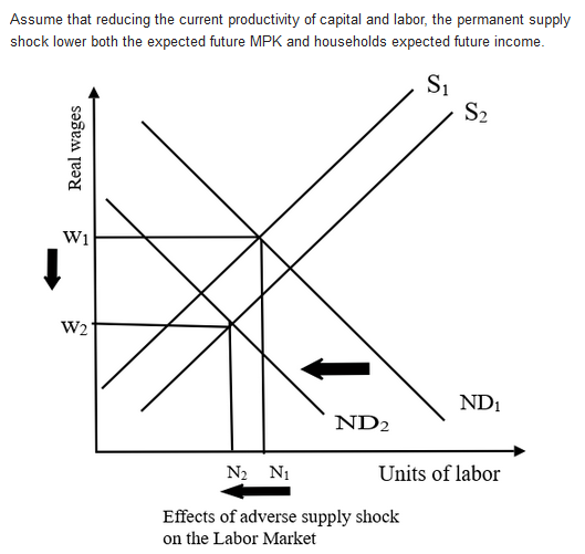 Assume that reducing the current productivity of capital and labor, the permanent supply shock lower both the expected future