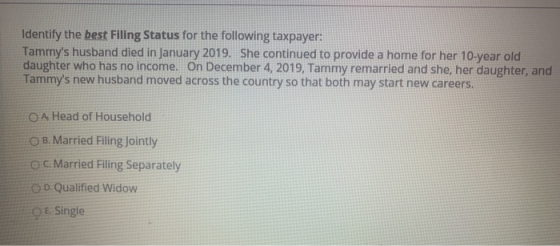Identify the best Filing Status for the following taxpayer: Tammys husband died in January 2019. She continued to provide a