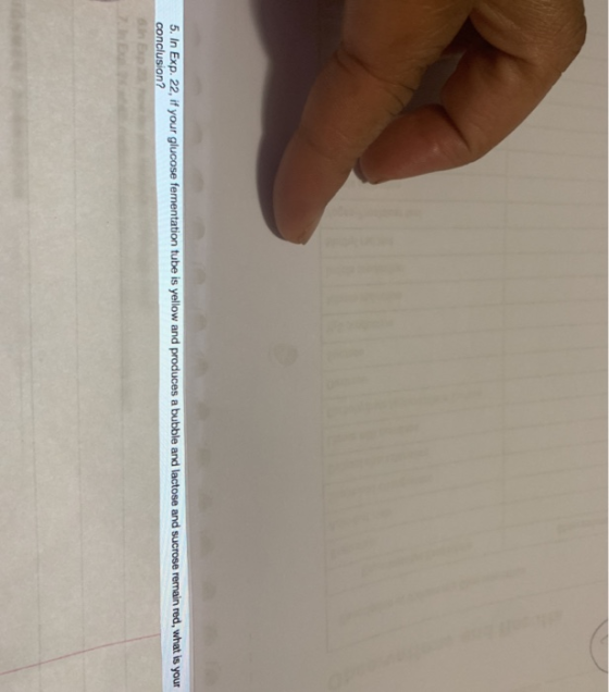 5. In Exp. 22, if your glucose fementation tube is yellow and produces a bubble and lactose and sucrose remain red, what is y