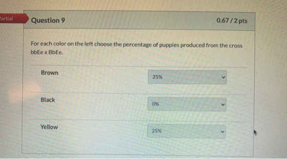 Partial Question 9 0.67 /2 pts For each color on the left choose the percentage of puppies produced from the cross bbЕe x BbE
