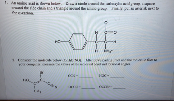 1. An amino acid is shown below. Draw a circle around the carboxylic acid group, a square around the side chain and a triangl