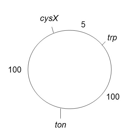 cysX 5 trp 100 100 ton