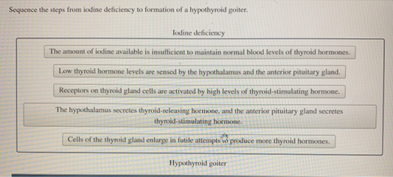 Sequence the steps from iodine deficiency to formation of a hypothyroid goiter. Iodine deficiency The amount of iodine availa