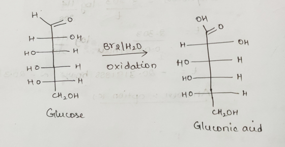 H ОИ Н — оң. ОН н BralH₂O но- — Н Н — Н НО. НО oxidation НО Н - Н но Сн, он Бір НО н Glucose Сң, он Gluconic acid
