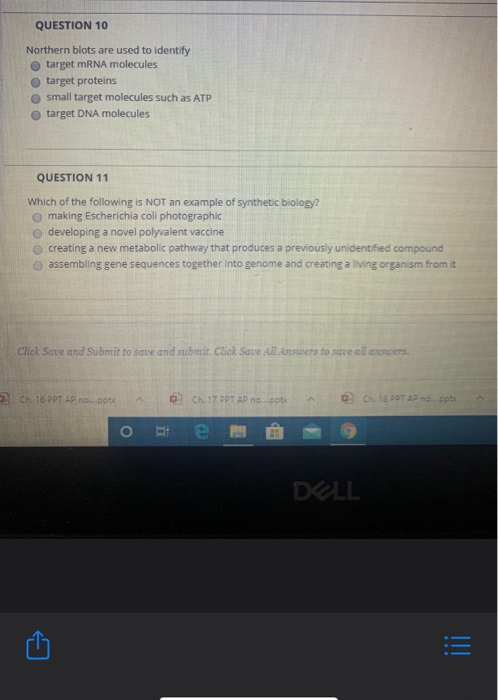 QUESTION 10 Northern blots are used to identify target mRNA molecules target proteins small target molecules such as ATP targ