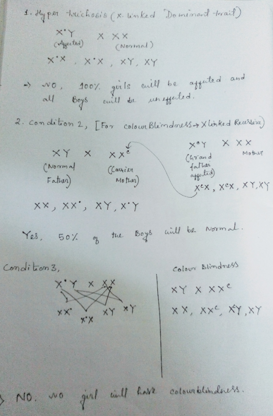 4.pe 3 Hotichosis nked Do mirmad trait) XY Aecta) XXX CNovmal) XX xY, XY 100% guils il be neted ttuted and all Cuil 2. Com d