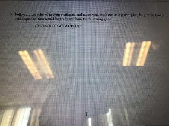 5. Following the rules of protein synthesis, and using your book etc, as a guide, give the protein (amino acid sequence) that