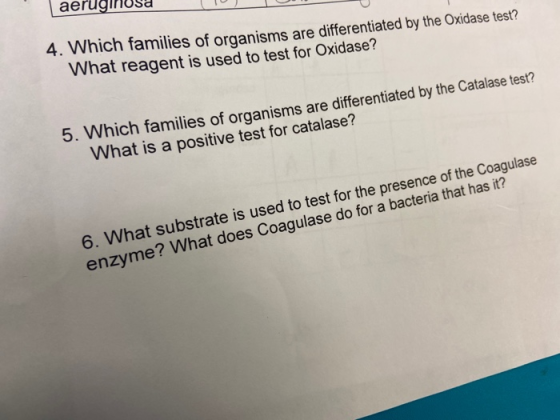aeruginosa 4. Which families of organisms are differentiated by the Oxidase test? What reagent is used to test for Oxidase? 5