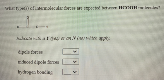 What type(s) of intermolecular forces are expected between HCOOH molecules? H -0H Indicate with a Y (yes) or an N (no) which