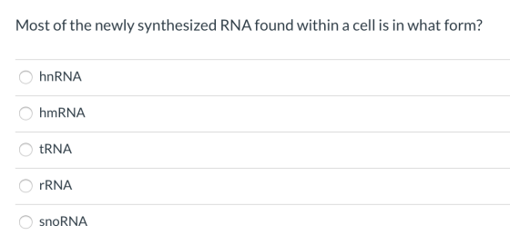 Most of the newly synthesized RNA found within a cell is in what form? hnRNA hmRNA tRNA rRNA snoRNA