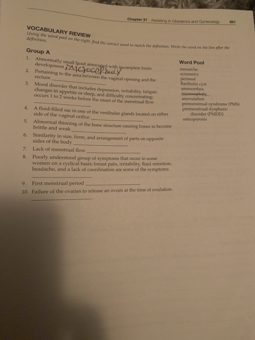 Chapter 31 Assisting in Obstetrics and Gynecology 651 VOCABULARY REVIEW Using the bord pool on the right find the correct wor
