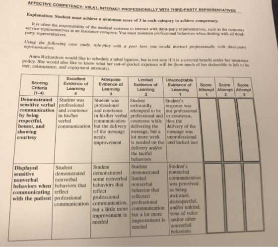 AFFECTIVE COMPETENCY: VILA1. PROFES 1. INTERACT PROFESSIONALLY WITH THIRD-PARTY REPRESENTATIVES Explanation: Student must ach