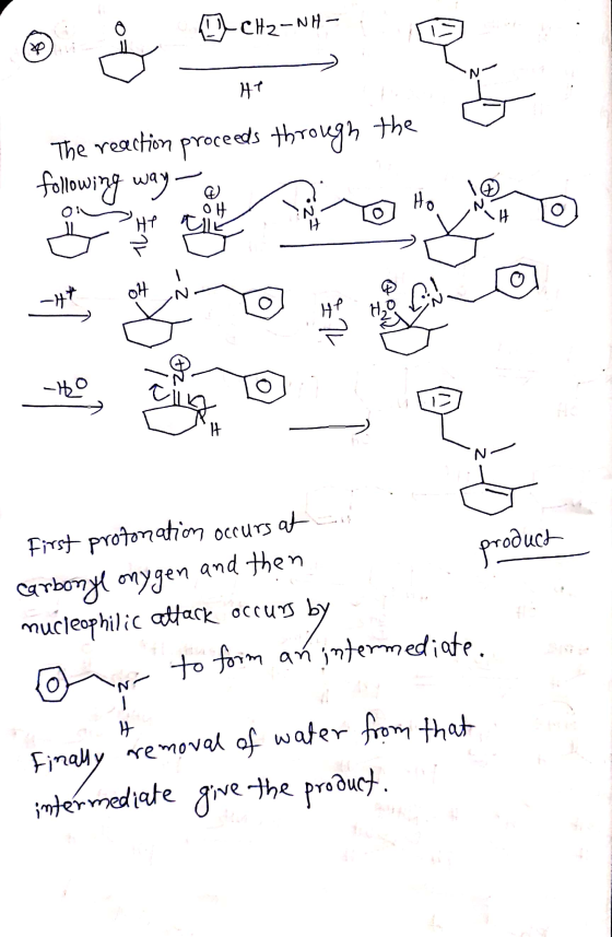 | |-cHa-NH-.. - HP The reaction proceeds through the C L -HO 11 First protonation occurs at carbonyl onygen and then nucleoph