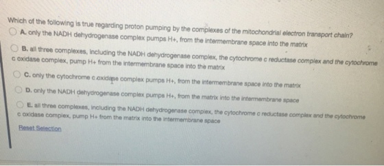 Which of the following is true regarding proton pumping by the complexes of the mitochondrial electron transport chain? 。A, only the NADH dehydrogenase complex pumps H+, from the intermembrane space into the matrix O B. all three complexes, including the NADH dehydrogenase complex, the cytochrome c reductase complex and the cytochrome c oxidase complex, pump H+ from the intermembrane space into the matrix ° C. only the cytochrome coxidape complex pumps H+, from the intermembrane space into the matrix 0 D. only the NADH dehydrogenase complex pumps H+, from the matrix into the intermembrane space OE. all three complexes, including the NADH dehydrogenase complex, the cytochrome c reductase complex and the cytochrome c oxidase complex, pump H+ from the matrix into the intermembrane space Reset Selection