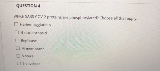 QUESTION 4 Which SARS-COV-2 proteins are phosphorylated? Choose all that apply. HE-hemagglutinin N-nucleocapsid Replicase M-m