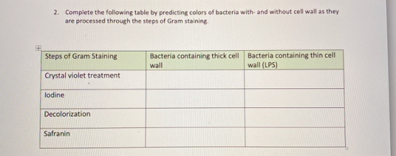 2. Complete the following table by predicting colors of bacteria with- and without cell wall as they are processed through th