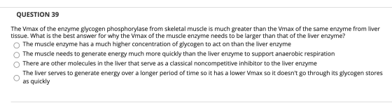 QUESTION 39 The Vmax of the enzyme glycogen phosphorylase from skeletal muscle is much greater than the Vmax of the same enzy