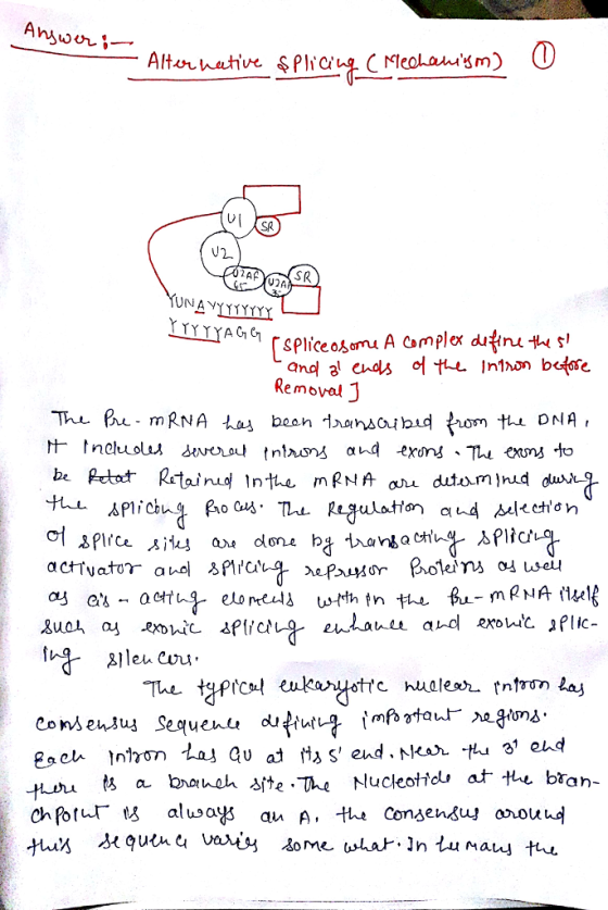 SR SR Removal j au0人 04 exohǐc. ¿ffcル9- erdahll and exowc.plic- flleu Cwu