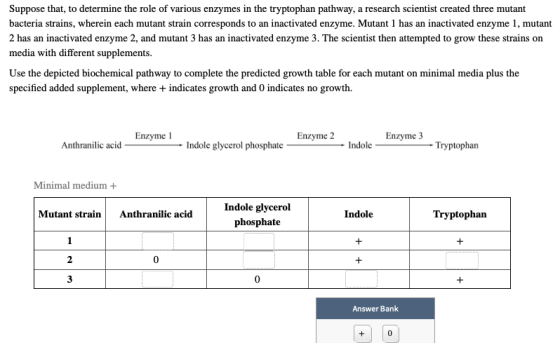 Suppose that, to determine the role of various enzymes in the tryptophan pathway, a research scientist created three mutant b