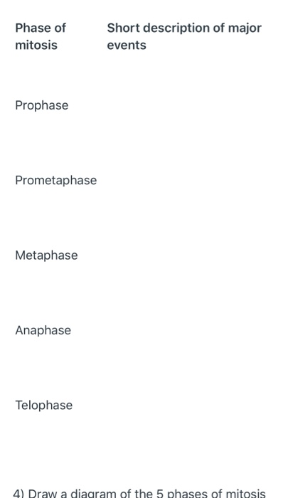 Phase of mitosis Short description of major events Prophase Prometaphase Metaphase Anaphase Telophase 4) Draw a diagram of th