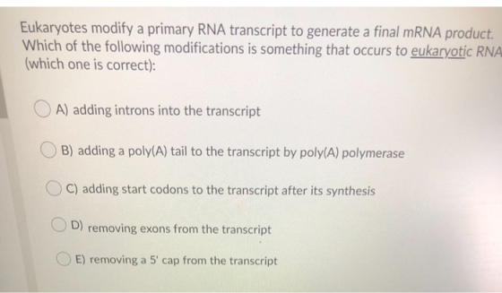 Eukaryotes modify a primary RNA transcript to generate a final mRNA product. Which of the following modifications is somethin