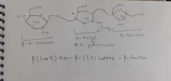 04 OH -oy OH I 애 OH # NH ol 1, CH₂ OM D-Fructose B-D-Mannose N-Acetyl B-D-galacto samine $ (134) man- ß-(1,4) Grelnac -B- fru