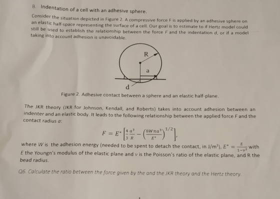 B. Indentation of a cell with an adhesive sphere. Consider the situation depicted in Figure 2. A compressive force F is appli