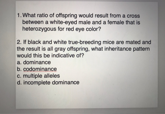 1. What ratio of offspring would result from a cross between a white-eyed male and a female that is heterozygous for red eye