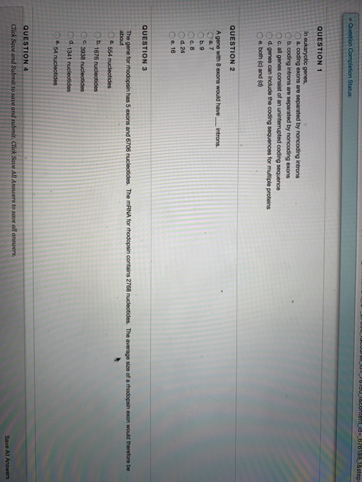 000_ U SEJJIBU contentId-_876188.1&step Question Completion Status: QUESTION 1 In eukaryotic genes, a. coding exons are separ