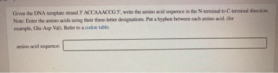 Given the DNA template strand 3 ACCAAACCG 5, write the amino acid sequence in the N-terminal to C-terminal direction. Note: