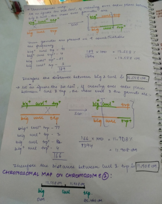 takes place between over are → chromosomal map.. let us ignore the zeid locê, ef messing big & uirl, the cross over gametes Y