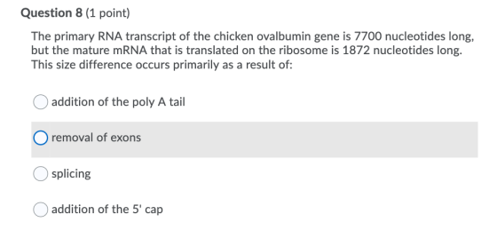 Question 8 (1 point) The primary RNA transcript of the chicken ovalbumin gene is 7700 nucleotides long, but the mature mRNA t