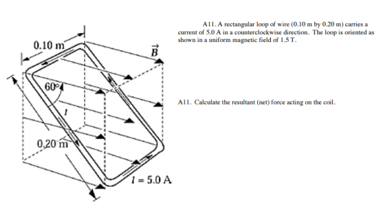 Image for A rectangular loop of wire (0.10 m by 0.20 m) carries a current of 5.0 A in a counterclockwise direction. The