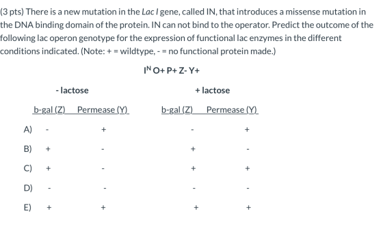 (3 pts) There is a new mutation in the Lac/gene, called IN, that introduces a missense mutation in the DNA binding domain of