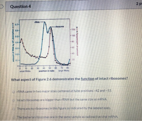 Question 4 29 Tunt of noun of 0 W 10 ANAS 20 30 40 50 30 p osition in Tube 20 What aspect of Figure 2.6 demonstrates the func