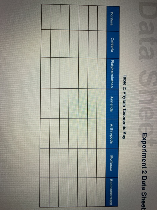 Data sh e Experiment 2 Data Sheet Experiment 2 Data Shoot Table 2: Phylum Taxonomic Key Porifera Cnidaria Platyhelminthes Ann