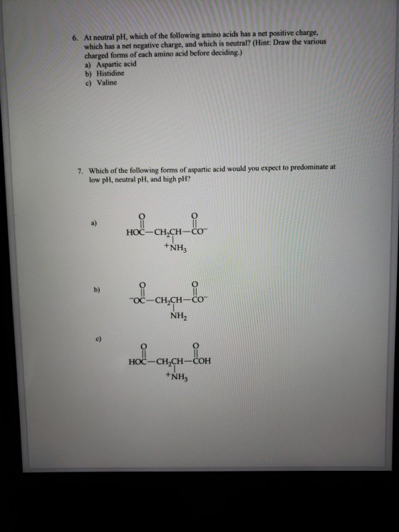 6. At neutral pH, which of the following amino acids has a net positive charge, which has a net negative charge, and which is