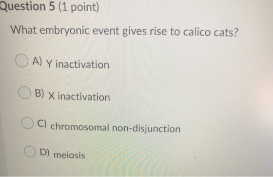 Question 5 (1 point) What embryonic event gives rise to calico cats? OA) Y inactivation B) x inactivation C) chromosomal non-
