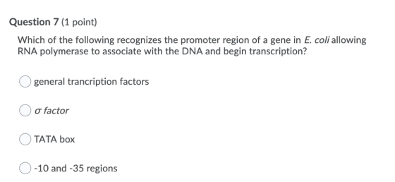 Question 7 (1 point) Which of the following recognizes the promoter region of a gene in E. coli allowing RNA polymerase to as