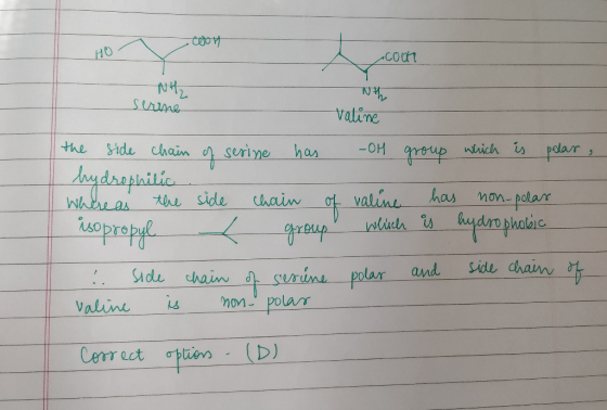 ceon o HOT coot WHE serine the valine the side chain of serine has -OH group which is polar , hydrophilic Whereas the side ch