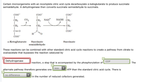 Certain microorganisms with an incomplete citric acid cycle decarboxylate a-ketoglutarate to produce succinate semialdehyde.