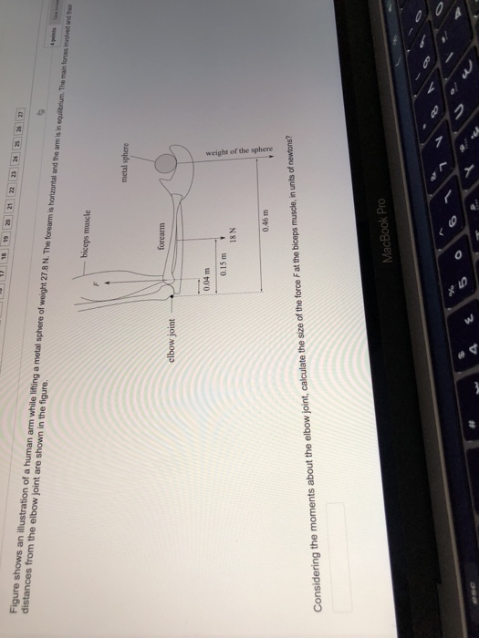 20 21 22 24 Figure shows an illustration of a human arm while lifting a metal sphere of weight 278 N. The forearm is horizont