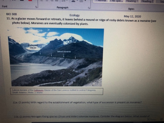 ma No Spac... Heading 1 Heading 2 Title Font Paragraph Styles BIO 300 Ecology May 12, 2020 11. As a glacier moves forward or